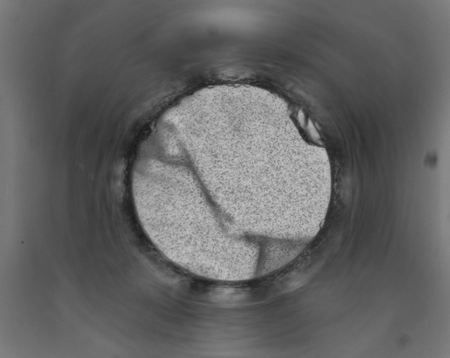 X0000090870319200708241925
