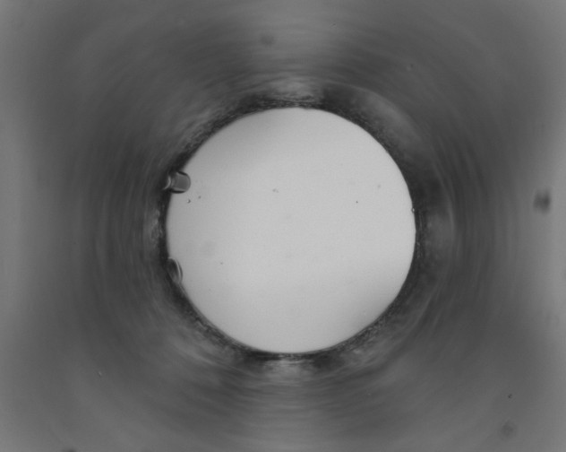 X0000090870320200708241925