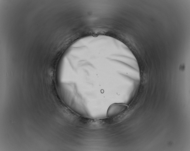 X0000090870321200708241925