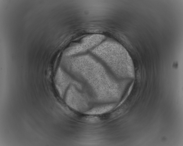 X0000090870322200708241925