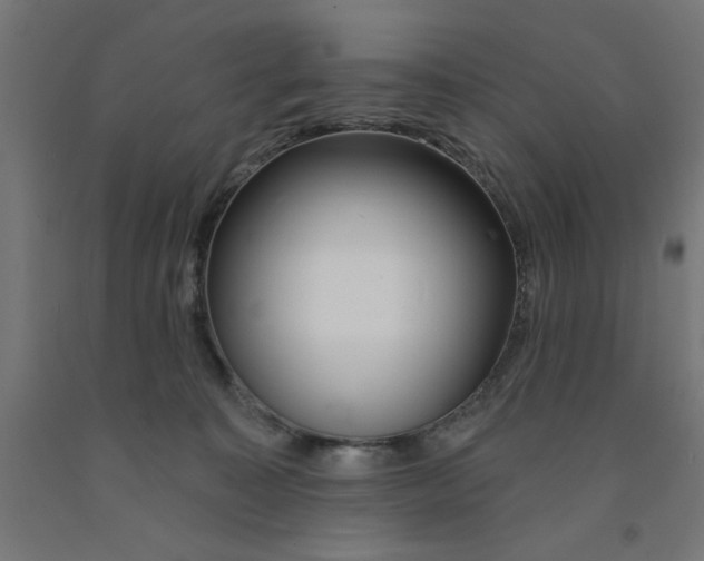 X0000090870323200708241925