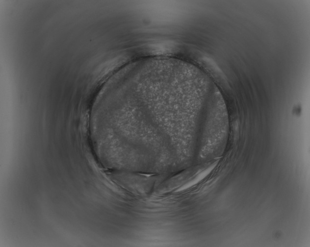 X0000090870325200708241925