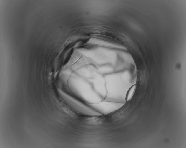 X0000090870326200708241925