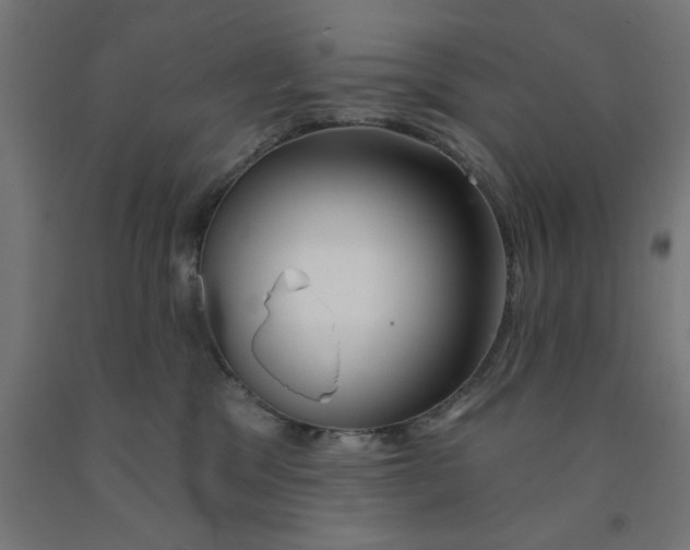 X0000090870329200708241925