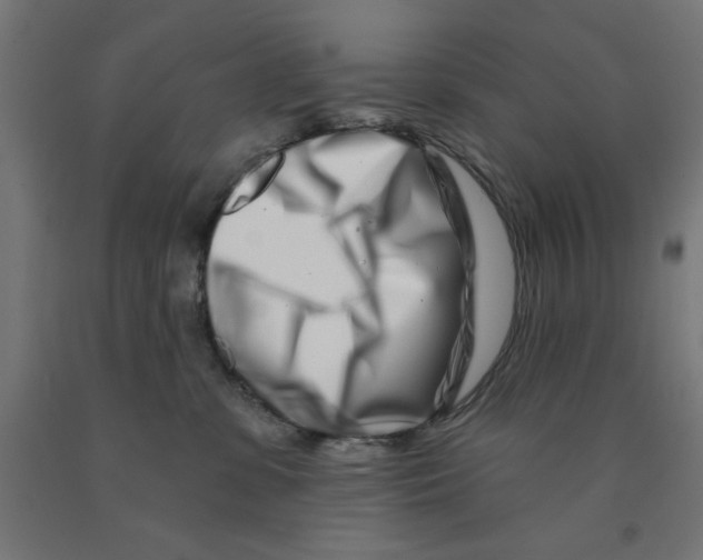 X0000090870331200708241925