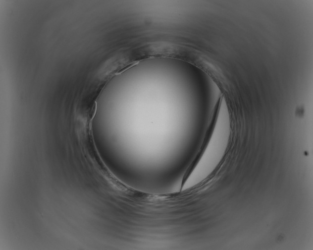 X0000090870333200708241925