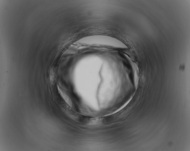 X0000090870335200708241925