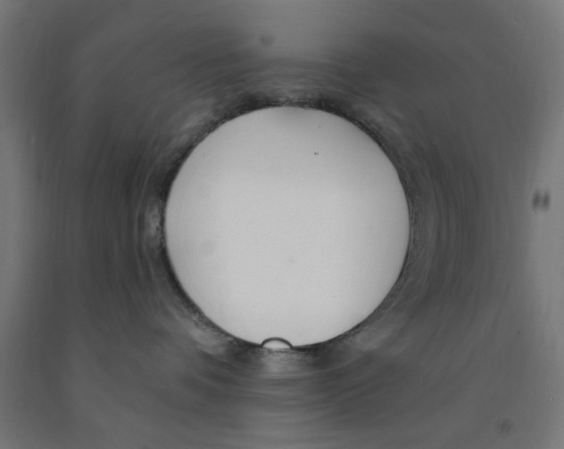 X0000090870336200708241925