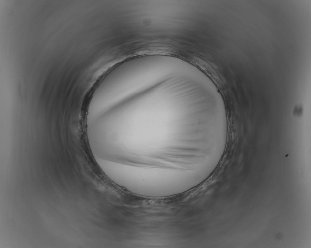 X0000090870338200708241924