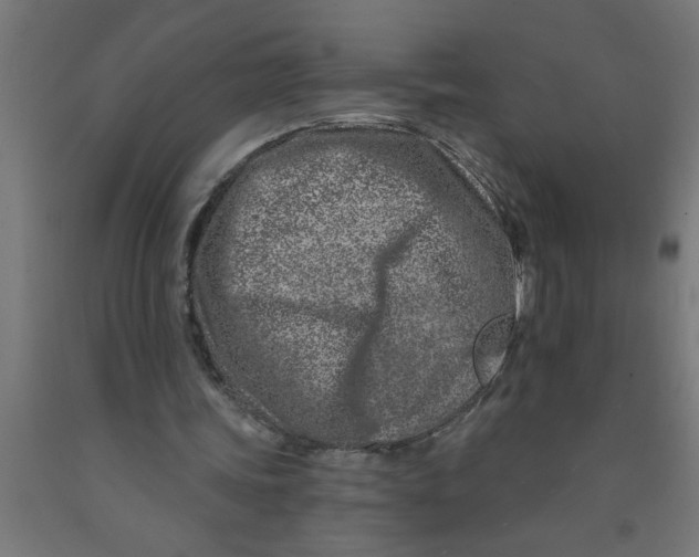 X0000090870339200708241924