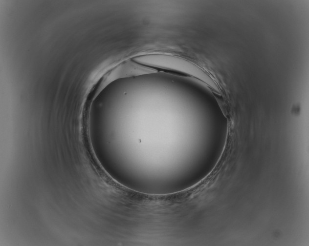 X0000090870340200708241924