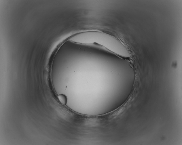 X0000090870342200708241924