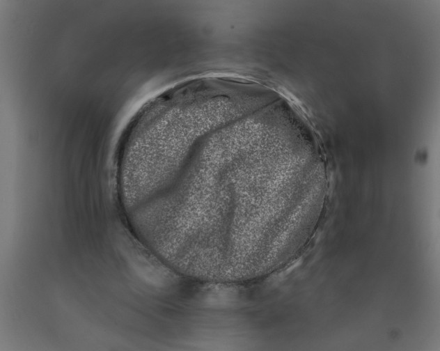 X0000090870343200708241924