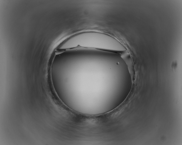 X0000090870344200708241924