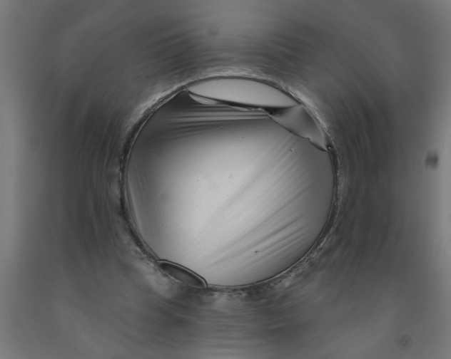 X0000090870345200708241924