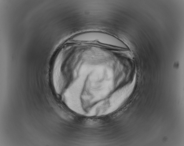 X0000090870346200708241924