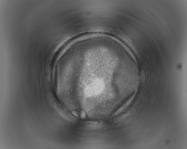 X0000090870347200708241924