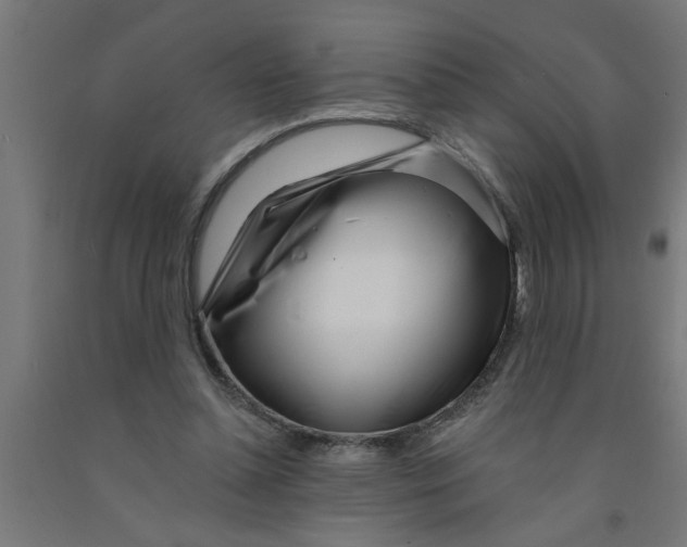 X0000090870348200708241924