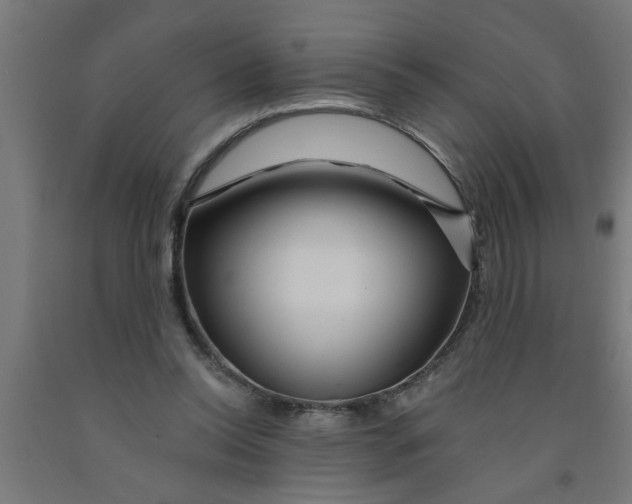 X0000090870350200708241924