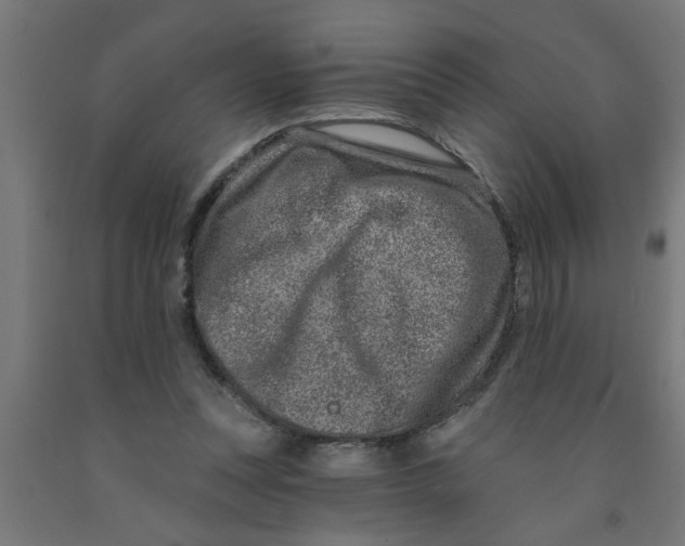 X0000090870351200708241924