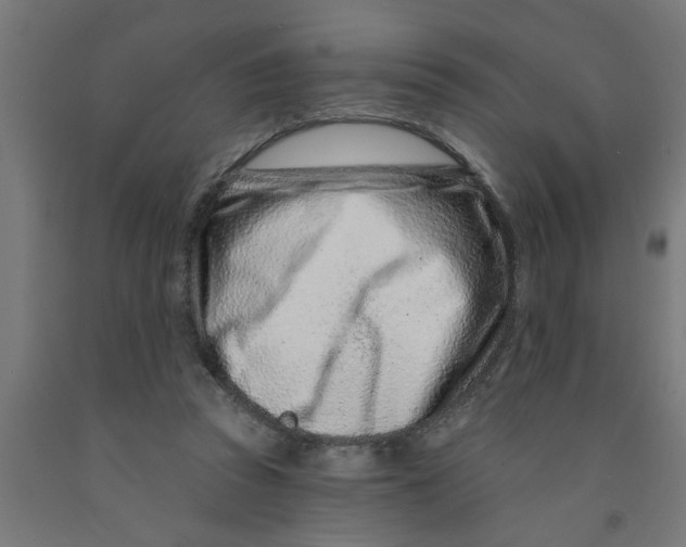 X0000090870353200708241924