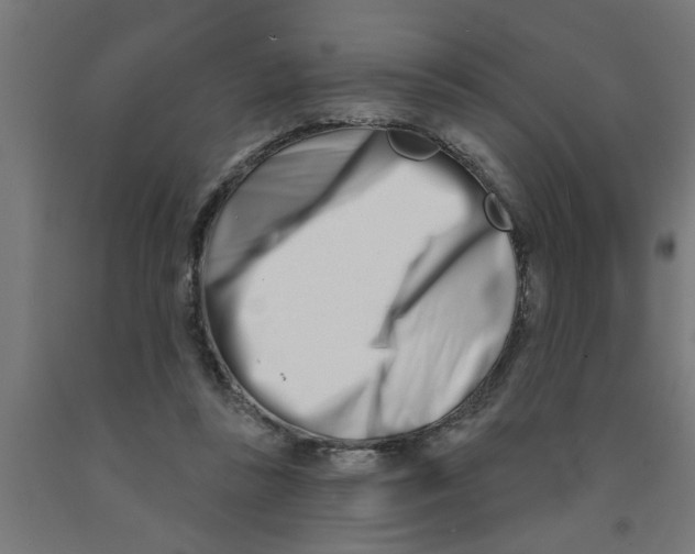 X0000090870355200708241924