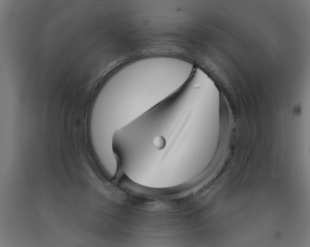 X0000090870356200708241924