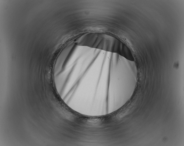 X0000090870357200708241924