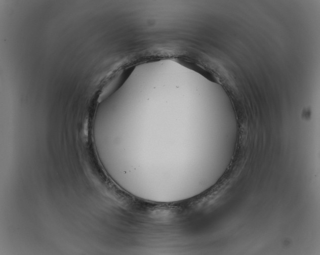 X0000090870358200708241924