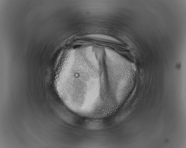 X0000090870359200708241924