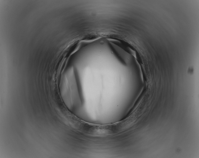 X0000090870360200708241924