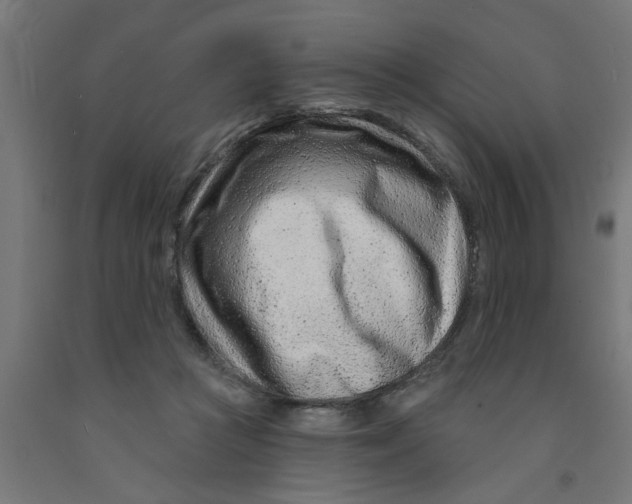 X0000090870361200708241924