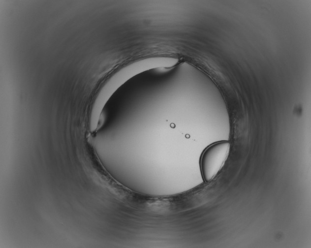 X0000090870362200708241924