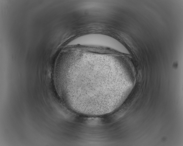 X0000090870363200708241924