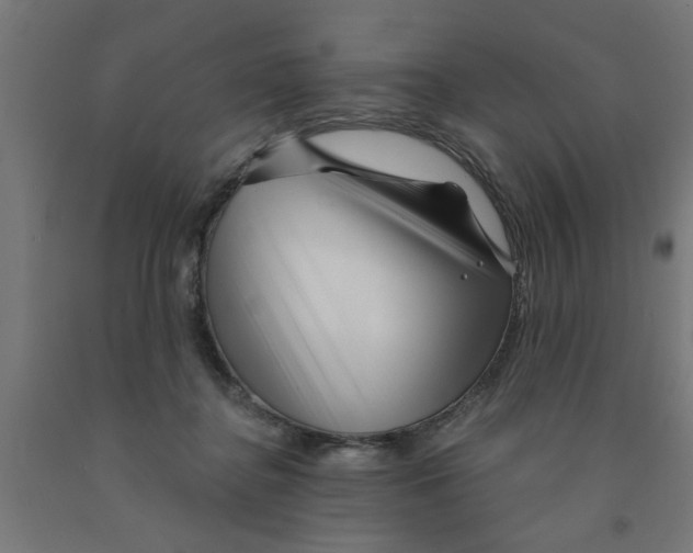 X0000090870364200708241924