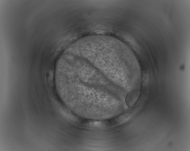 X0000090870365200708241924