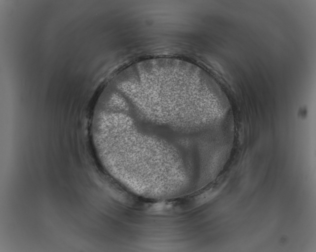 X0000090870366200708241924