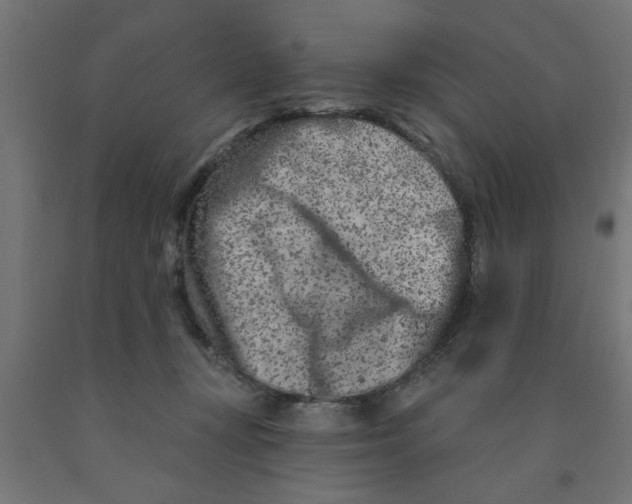 X0000090870367200708241924