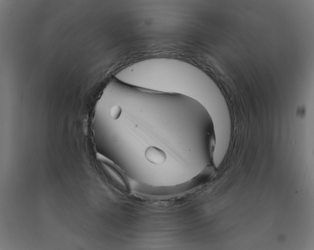 X0000090870368200708241924