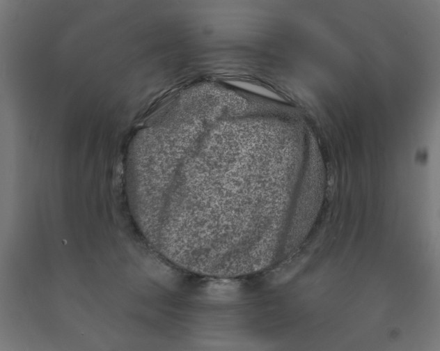 X0000090870369200708241924