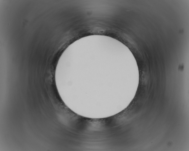 X0000090870370200708241924