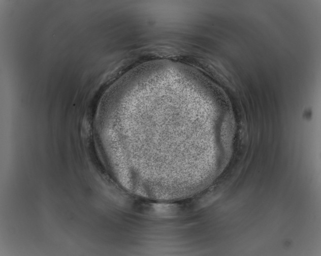 X0000090870371200708241924