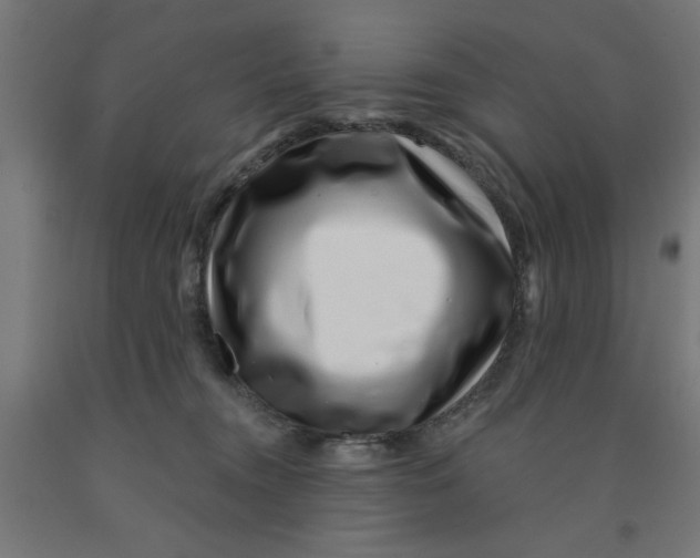 X0000090870372200708241924