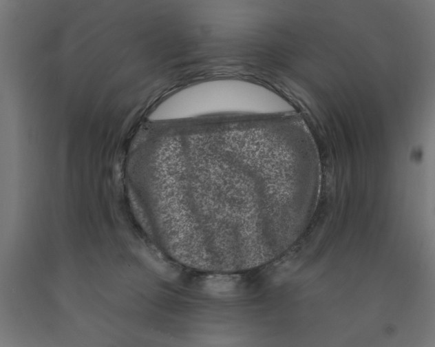 X0000090870373200708241924