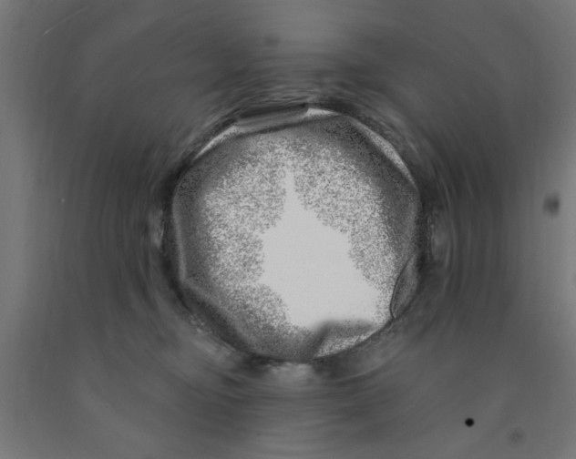 X0000090870374200708241924