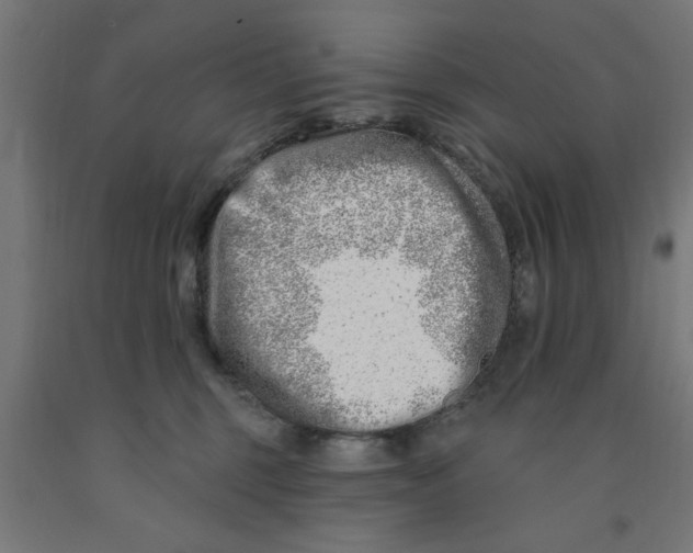 X0000090870375200708241924