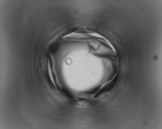 X0000090870376200708241924