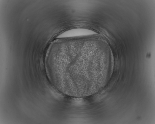 X0000090870377200708241924