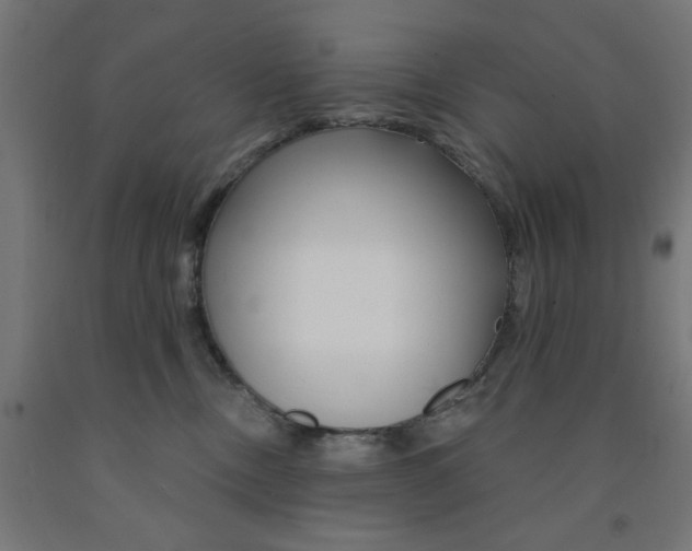 X0000090870378200708241925