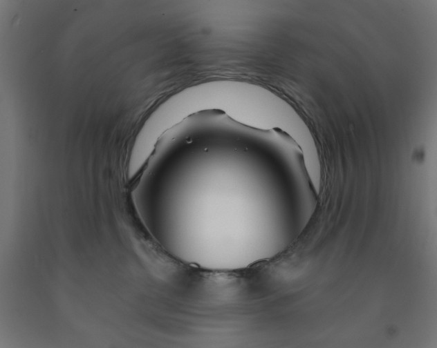 X0000090870380200708241925